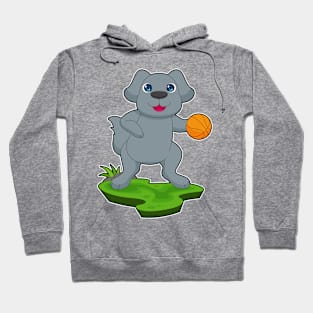 Dog Basketball player Basketball Sports Hoodie